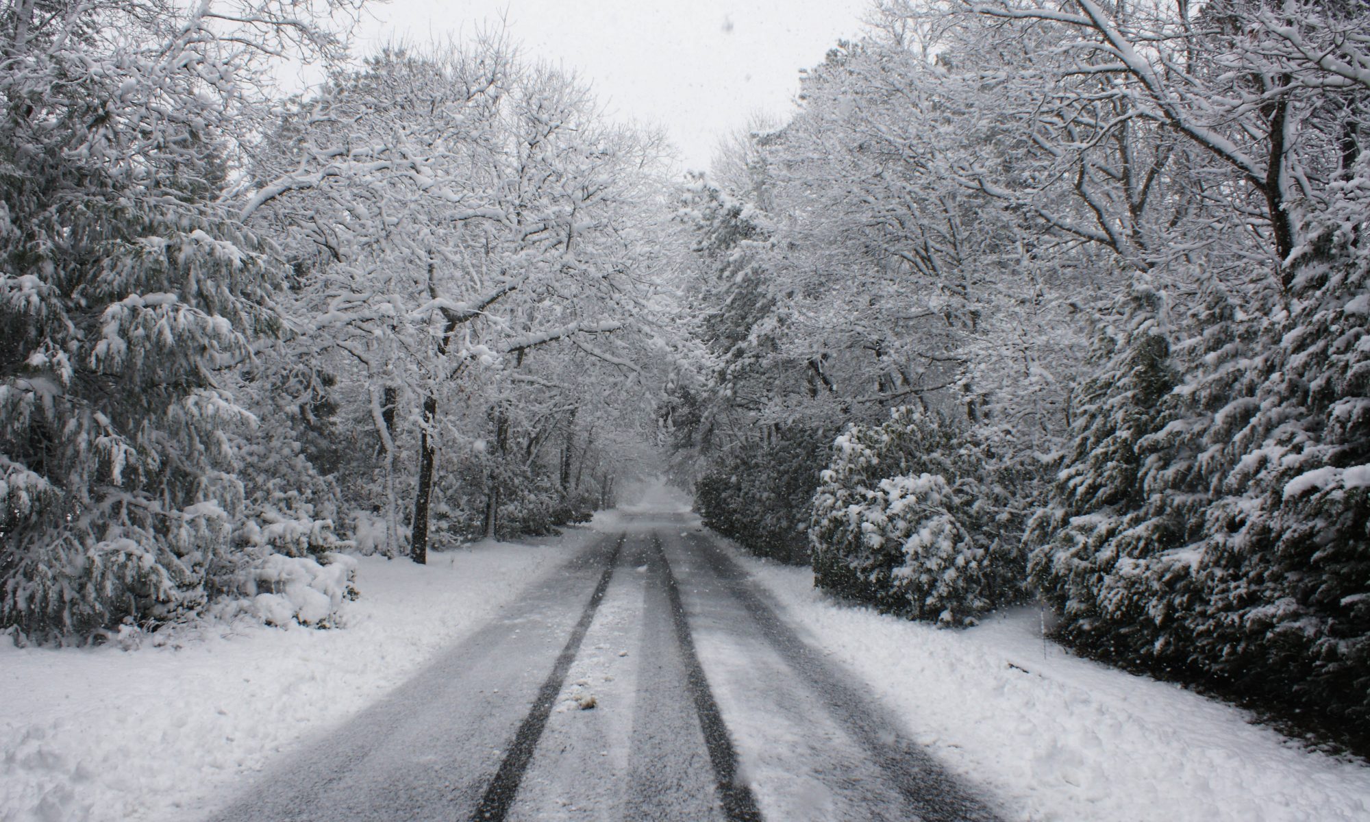 Shop Wainscott Wainscott 11975